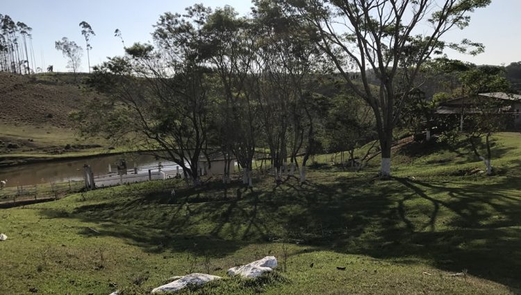 sakaiimoveis-fonte-água-mogi-casa-caseiro