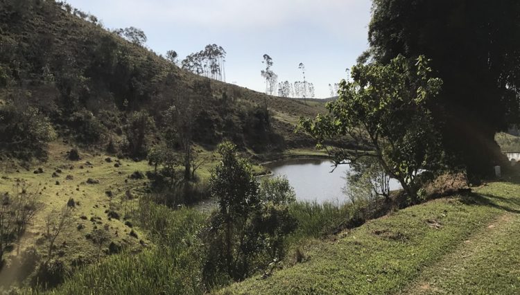 sakaiimoveis-fonte-água-mogi-fonte