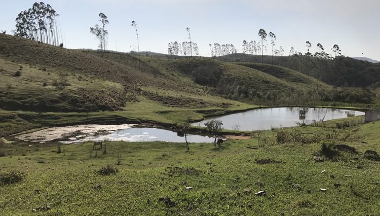 sakaiimoveis-fonte-água-mogi-lago