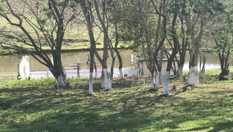 sakaiimoveis-fonte-água-mogi-lavra