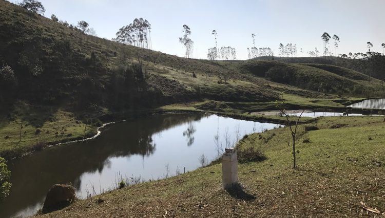 sakaiimoveis-fonte-água-mogi-sabauna