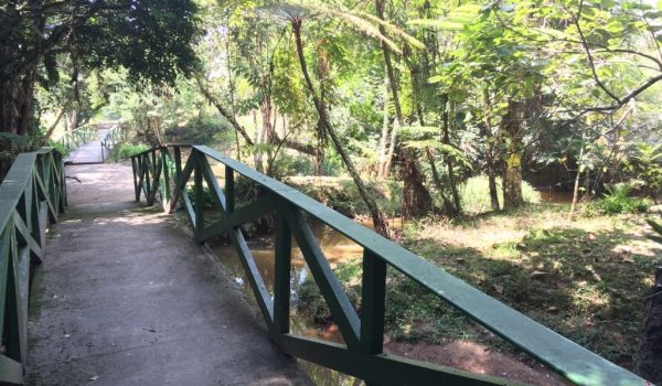 Trilha Aruã Ecopark[