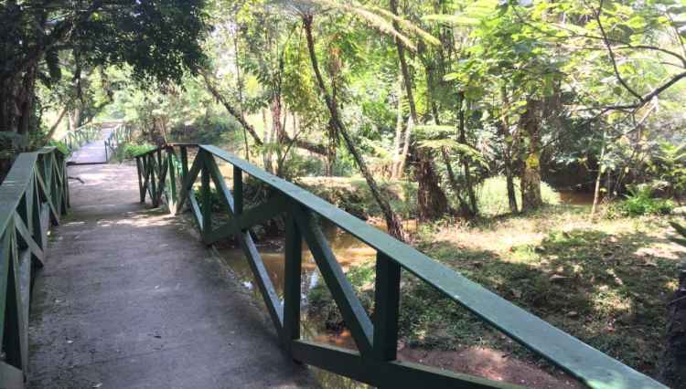 trilha-arua-ecopark