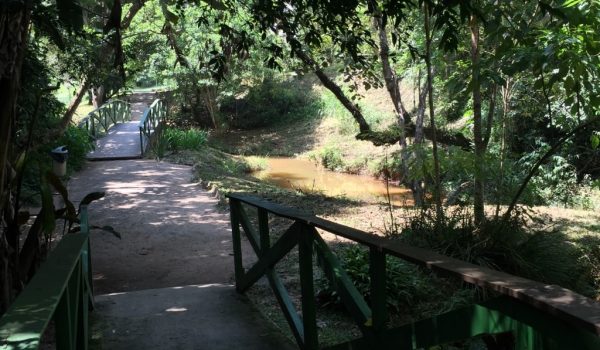 Trilha Aruã Lagos (2)