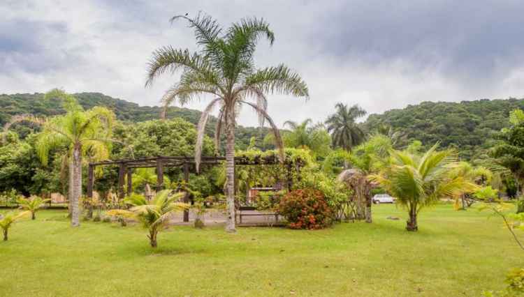 condominio-albamar-sakaiimovies-guaruja-area-verde