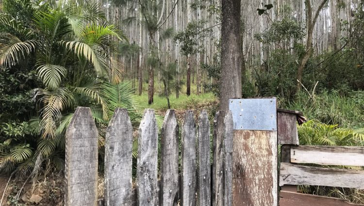 sitio-eldorado-mogi-das-cruzes-venda-260-mil-m2-plantacao-eucalipto-casa-salao-festas-piscina (1)