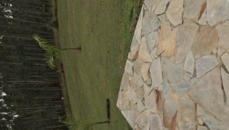 sitio-eldorado-mogi-das-cruzes-venda-260-mil-m2-plantacao-eucalipto-casa-salao-festas-piscina (15)