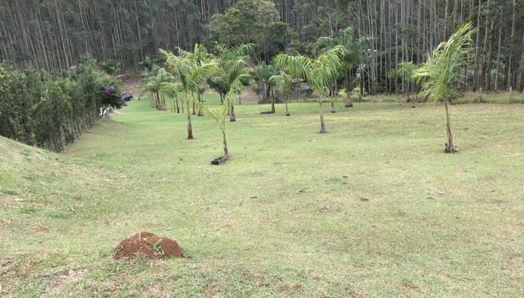 sitio-eldorado-mogi-das-cruzes-venda-260-mil-m2-plantacao-eucalipto-casa-salao-festas-piscina (16)