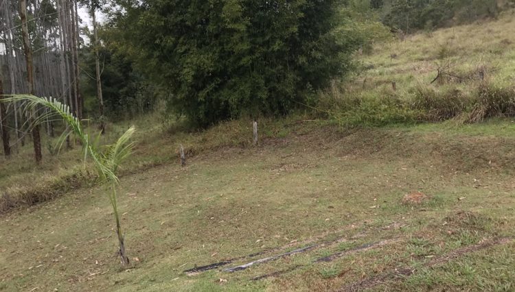sitio-eldorado-mogi-das-cruzes-venda-260-mil-m2-plantacao-eucalipto-casa-salao-festas-piscina (18)