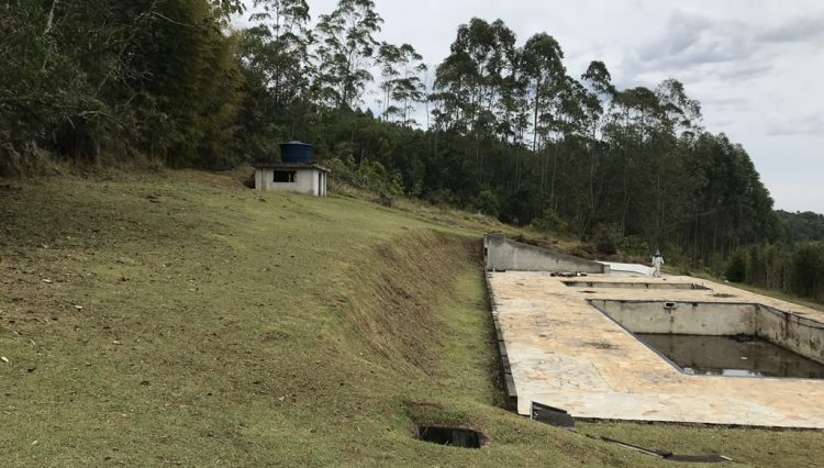 sitio-eldorado-mogi-das-cruzes-venda-260-mil-m2-plantacao-eucalipto-casa-salao-festas-piscina (19)