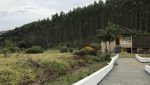 sitio-eldorado-mogi-das-cruzes-venda-260-mil-m2-plantacao-eucalipto-casa-salao-festas-piscina (20)