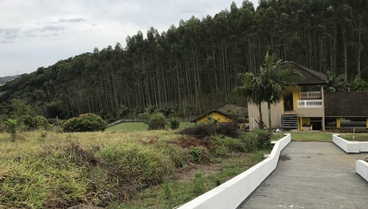 sitio-eldorado-mogi-das-cruzes-venda-260-mil-m2-plantacao-eucalipto-casa-salao-festas-piscina (20)