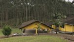 sitio-eldorado-mogi-das-cruzes-venda-260-mil-m2-plantacao-eucalipto-casa-salao-festas-piscina (21)