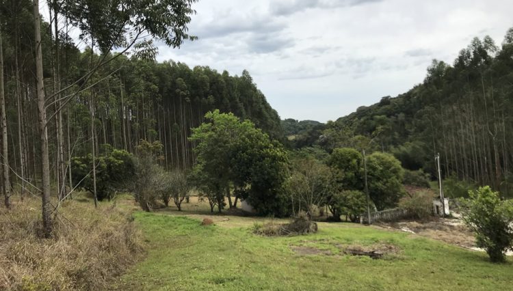 sitio-eldorado-mogi-das-cruzes-venda-260-mil-m2-plantacao-eucalipto-casa-salao-festas-piscina (23)