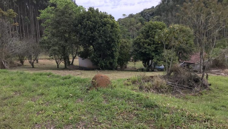 sitio-eldorado-mogi-das-cruzes-venda-260-mil-m2-plantacao-eucalipto-casa-salao-festas-piscina (24)
