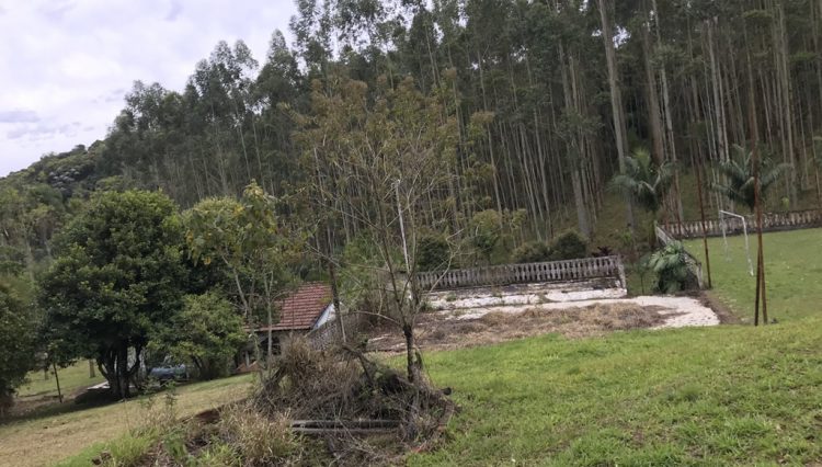 sitio-eldorado-mogi-das-cruzes-venda-260-mil-m2-plantacao-eucalipto-casa-salao-festas-piscina (25)