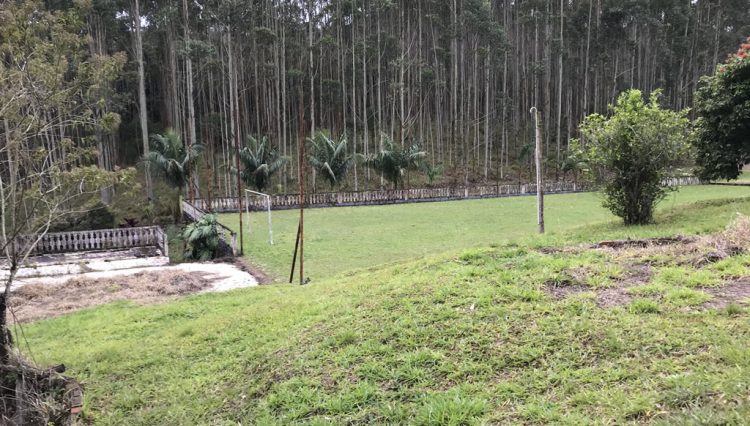 sitio-eldorado-mogi-das-cruzes-venda-260-mil-m2-plantacao-eucalipto-casa-salao-festas-piscina (26)