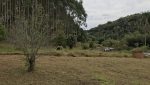 sitio-eldorado-mogi-das-cruzes-venda-260-mil-m2-plantacao-eucalipto-casa-salao-festas-piscina (27)