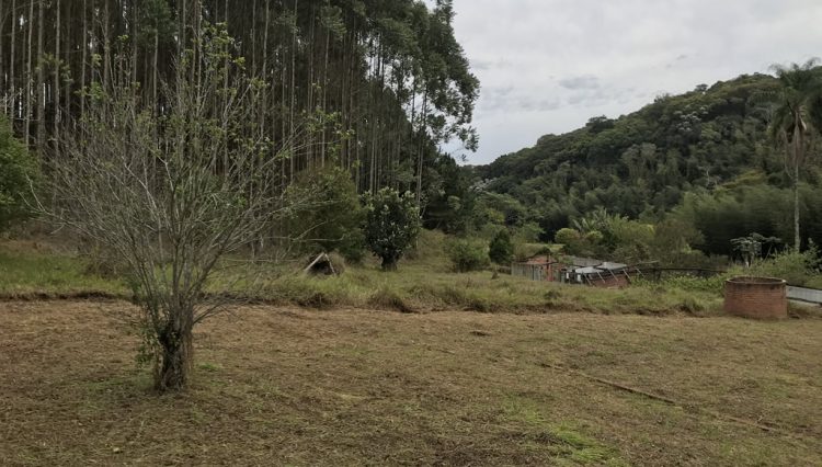 sitio-eldorado-mogi-das-cruzes-venda-260-mil-m2-plantacao-eucalipto-casa-salao-festas-piscina (27)