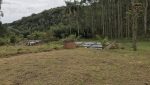 sitio-eldorado-mogi-das-cruzes-venda-260-mil-m2-plantacao-eucalipto-casa-salao-festas-piscina (28)