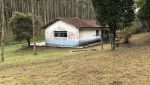 sitio-eldorado-mogi-das-cruzes-venda-260-mil-m2-plantacao-eucalipto-casa-salao-festas-piscina (29)