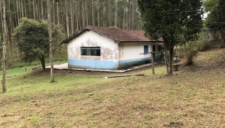 sitio-eldorado-mogi-das-cruzes-venda-260-mil-m2-plantacao-eucalipto-casa-salao-festas-piscina (29)