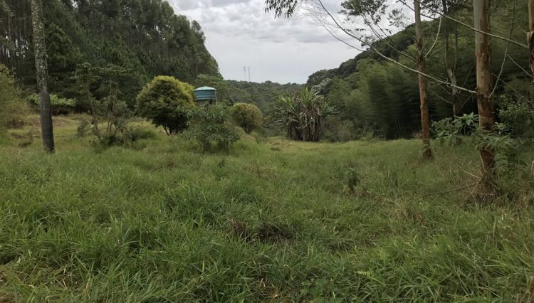 sitio-eldorado-mogi-das-cruzes-venda-260-mil-m2-plantacao-eucalipto-casa-salao-festas-piscina (32)