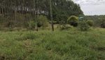 sitio-eldorado-mogi-das-cruzes-venda-260-mil-m2-plantacao-eucalipto-casa-salao-festas-piscina (33)
