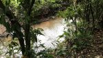 sitio-eldorado-mogi-das-cruzes-venda-260-mil-m2-plantacao-eucalipto-casa-salao-festas-piscina (41)