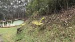 sitio-eldorado-mogi-das-cruzes-venda-260-mil-m2-plantacao-eucalipto-casa-salao-festas-piscina (5)