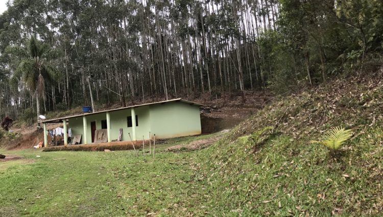 sitio-eldorado-mogi-das-cruzes-venda-260-mil-m2-plantacao-eucalipto-casa-salao-festas-piscina (6)