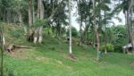 sitio-moralogia-24.000m2-venda-casa-3-dorm-piscina-churrasqueira-área-gourmet-campo-futebol-gramado-permuta-apto-praia (1)