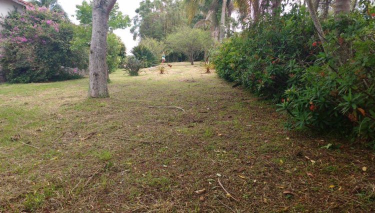 sitio-estrada-taiaçupeba-casa-sede-3-dorm-sala-cozinha-banheiro-varanda-2-suites-4banheiros-mina-aágua-3-alqueires-poço-1.5km- ( (12)