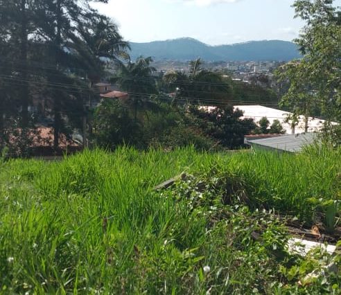 terreno-vila-pomar-topografia-aclive-250m2 (8)