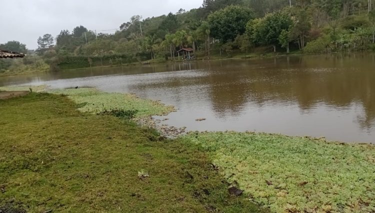 sitio-cocuera-lago-piscina-casa-5dorm-estabulo-churrasqueira-casa-hospede-pista-cavalo-mogi-ve ( (13)