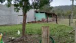 sitio-cocuera-lago-piscina-casa-5dorm-estabulo-churrasqueira-casa-hospede-pista-cavalo-mogi-ve ( (15)