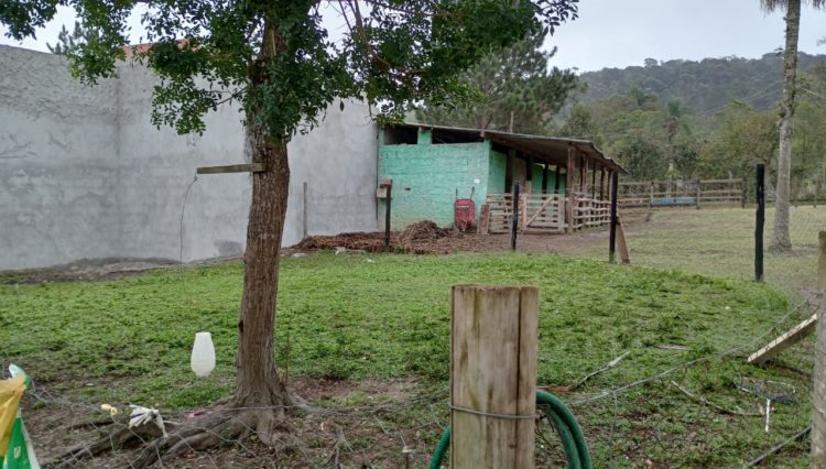 sitio-cocuera-lago-piscina-casa-5dorm-estabulo-churrasqueira-casa-hospede-pista-cavalo-mogi-ve ( (15)