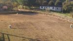 sitio-cocuera-lago-piscina-casa-5dorm-estabulo-churrasqueira-casa-hospede-pista-cavalo-mogi-ve ( (24)