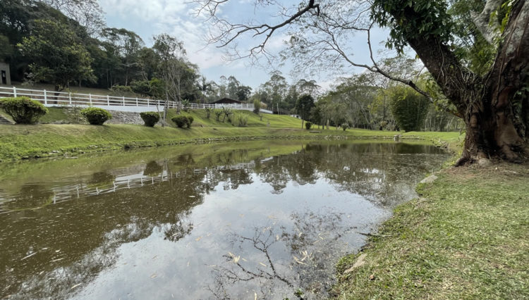 sitio-quatinga-24milm2-lagos-piscina-churrasqueira-horta-gramado-1km-asfalto (1)