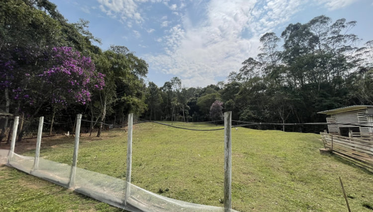sitio-quatinga-24milm2-lagos-piscina-churrasqueira-horta-gramado-1km-asfalto (23)