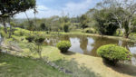 sitio-quatinga-24milm2-lagos-piscina-churrasqueira-horta-gramado-1km-asfalto (33)
