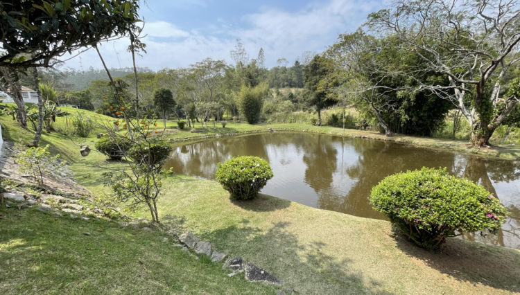 sitio-quatinga-24milm2-lagos-piscina-churrasqueira-horta-gramado-1km-asfalto (33)