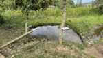 sitio-quatinga-24milm2-lagos-piscina-churrasqueira-horta-gramado-1km-asfalto (34)