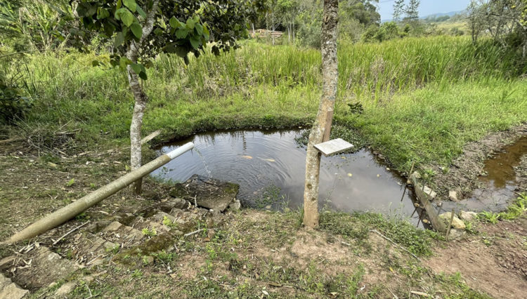 sitio-quatinga-24milm2-lagos-piscina-churrasqueira-horta-gramado-1km-asfalto (34)