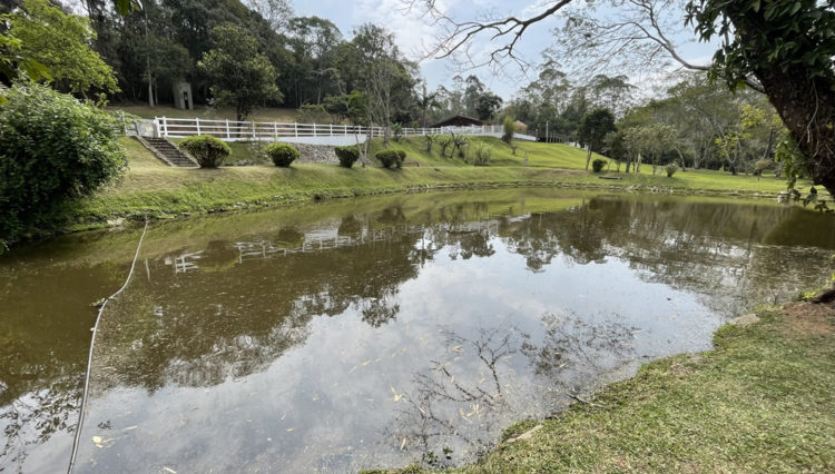 sitio-quatinga-24milm2-lagos-piscina-churrasqueira-horta-gramado-1km-asfalto (36)
