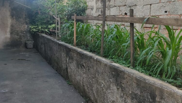 imóvel-braz-cubas-terreno-500m2-centro (8)
