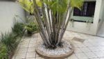 casa-térrea-centro-3-dorm-área-gourmet-venda-382m2 (7)