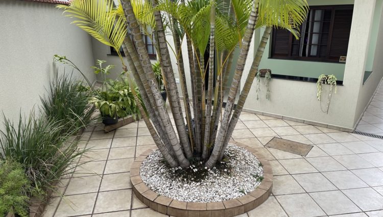 casa-térrea-centro-3-dorm-área-gourmet-venda-382m2 (7)