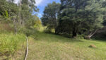 sitio-20mil-m2-venda-serra-itapeti-mogi-corrego-casa-sede-casa-caseiro-casa-2 (10)