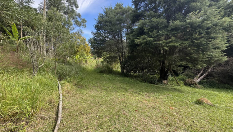 sitio-20mil-m2-venda-serra-itapeti-mogi-corrego-casa-sede-casa-caseiro-casa-2 (10)